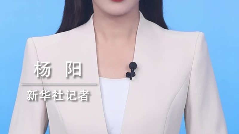 ERP软件版本差异解析：揭秘企业信息化升级的关键